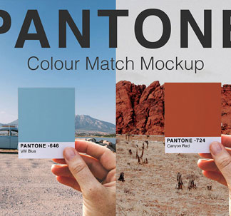 Pantone Colour Swatch Mockups