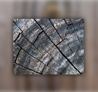 7 Grainy Wood Textures