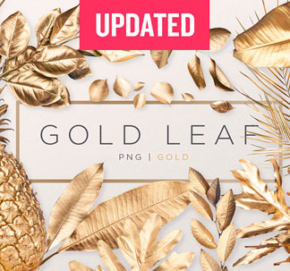 Gold Leaves PNG Graphics Pack