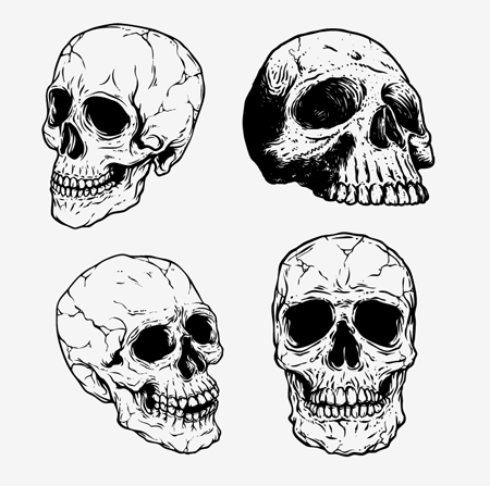 Hand drawn skulls preview