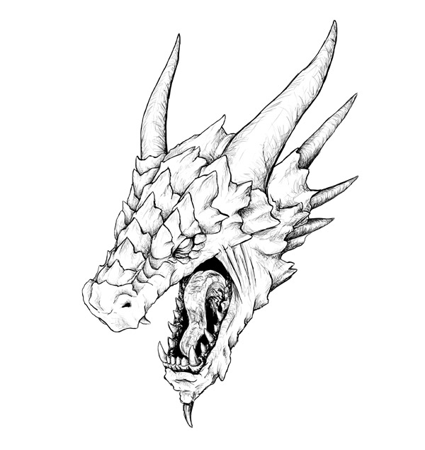 cool dragon head drawings