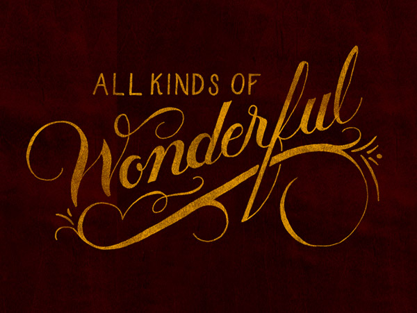 All Kinds of Wonderful by Nicholas D'Amico