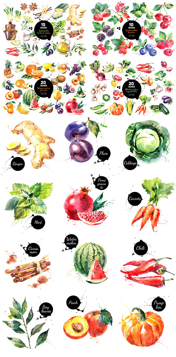 Watercolour Vector Sets