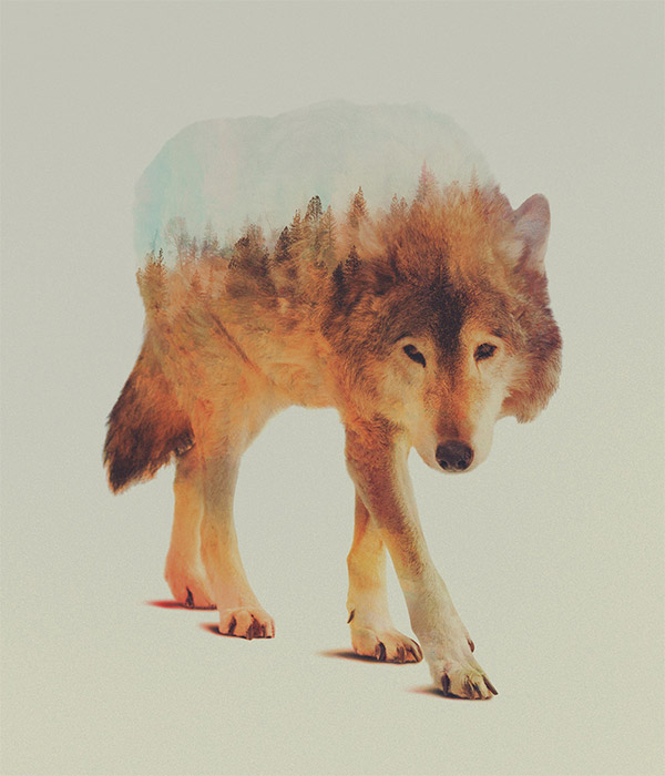 Double exposure animals by Andreas Lie
