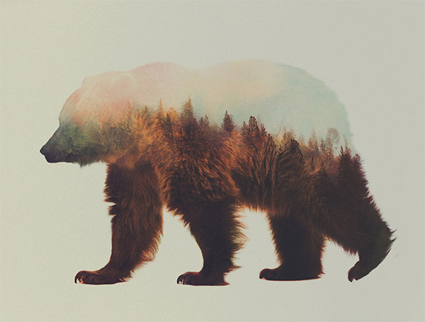 Double exposure animals by Andreas Lie