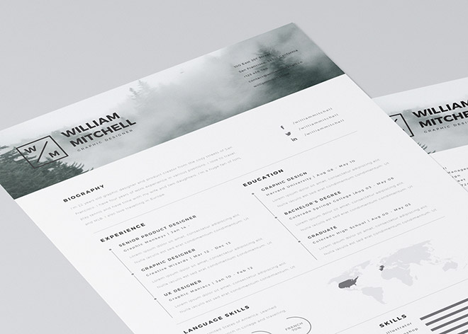 20 Free Editable CV/Resume Templates for PS & AI