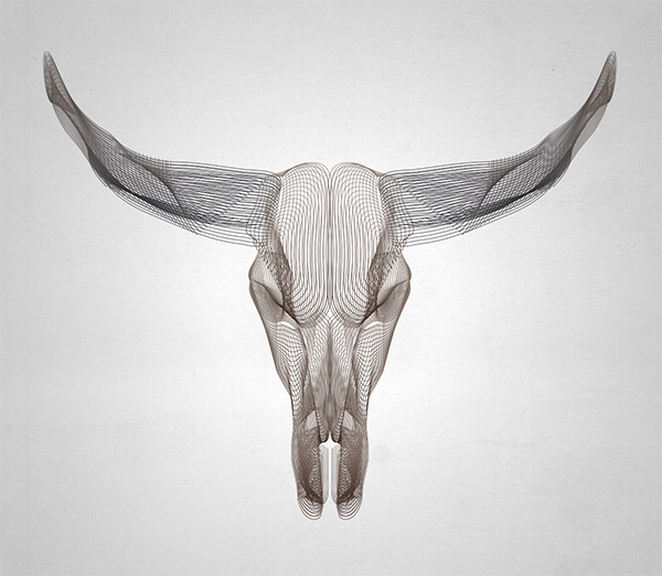 Wireframe animal skull using Illustrator's Blend Tool