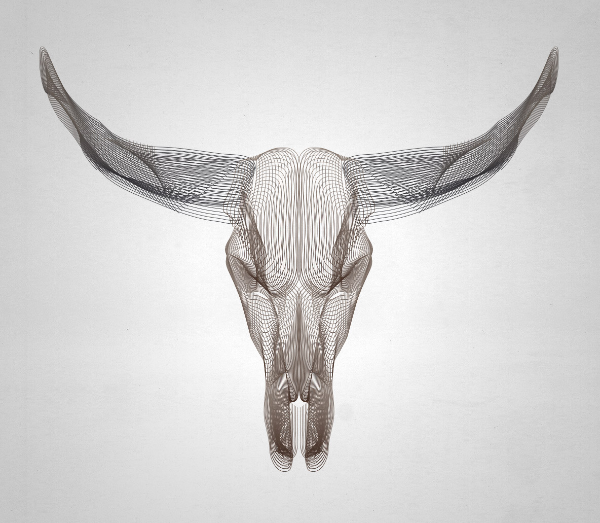 Wireframe Animal Skulls Using Illustrator S Blend Tool