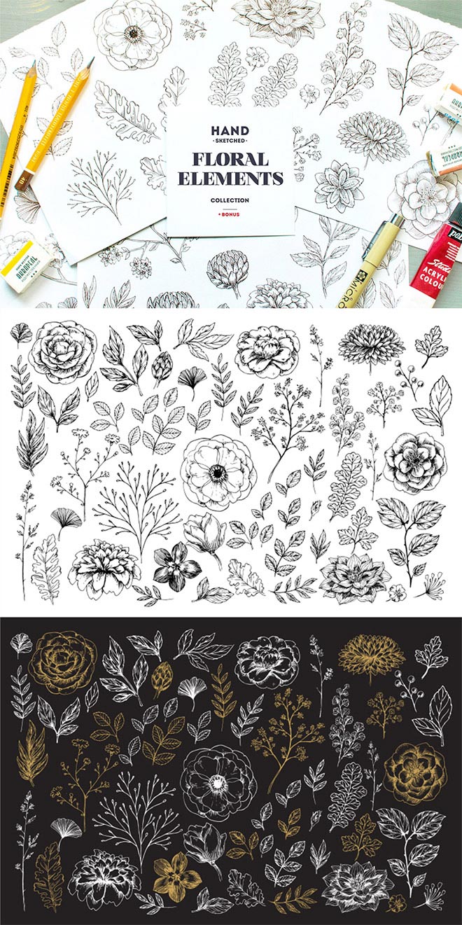 Handsketched Floral Elements Kit