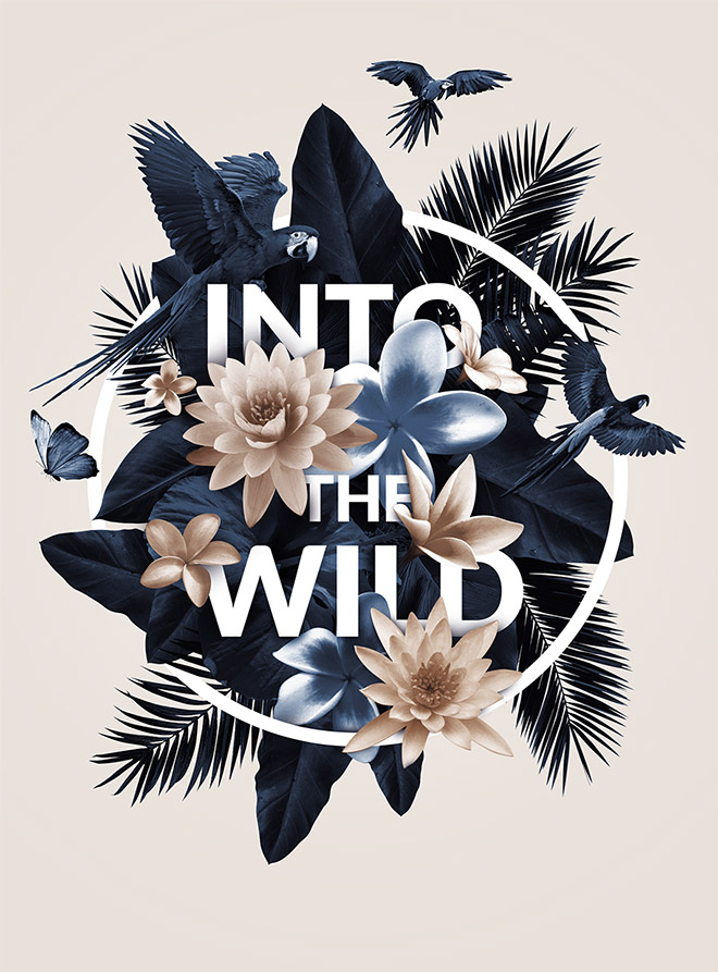 Into the Wild by Kevin Bothua