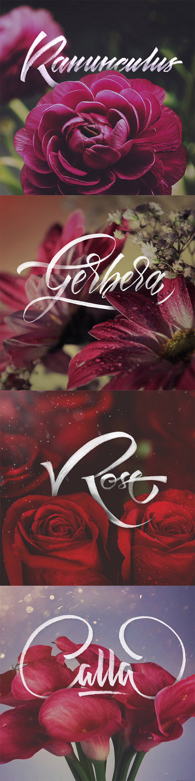 Just Flowers & Letters by Levchenko Calligraphy