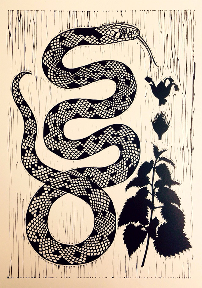 Grass Snake and Nettle by Ella Ginn