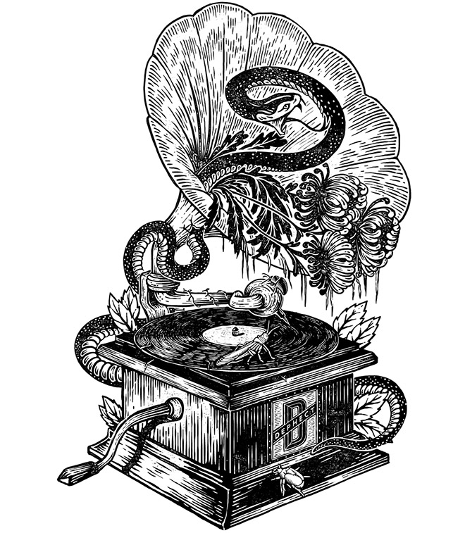 Gramophone-Dephect by Pedro Oyarbide