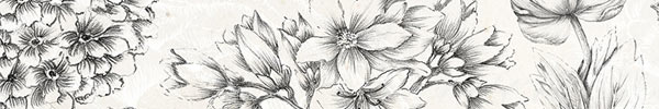 20 Handcrafted Botanical Illustrations
