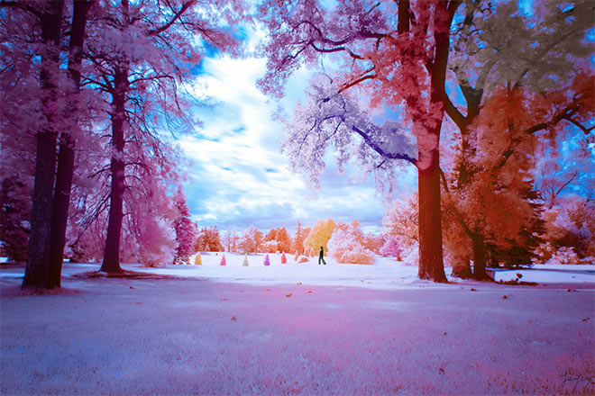 Infrared by Jack R. Seikaly