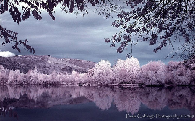 Infrared Secluded View by La Vita a Bella