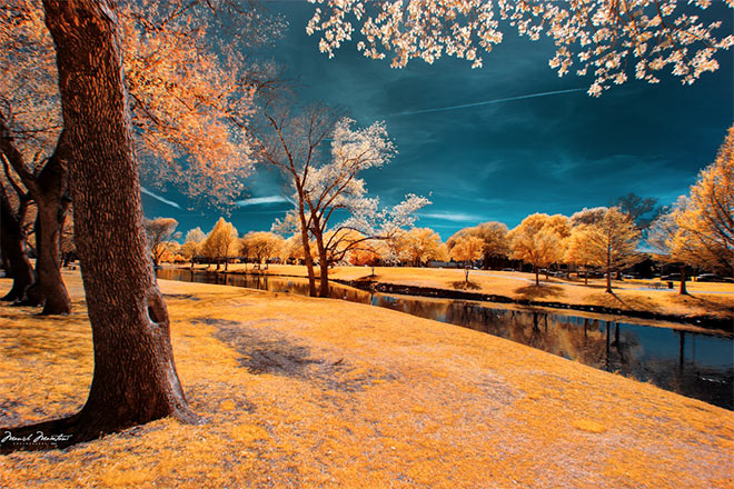 Infrared Color by Manish Mamtani
