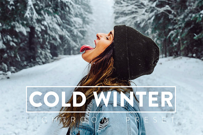 10 Winter Lightroom Presets