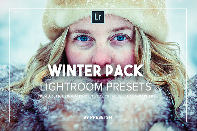 Winter Lightroom Presets