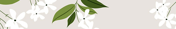 “Jasmine Flowers” Patterns, Backgrounds & Cards