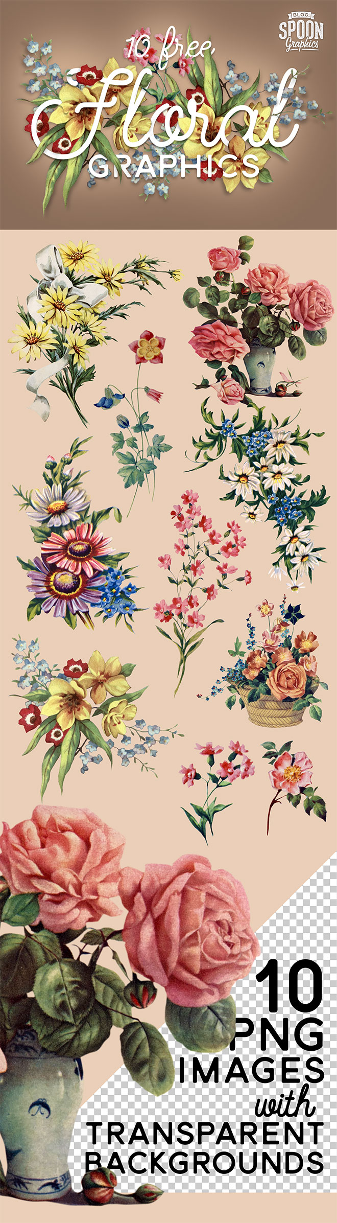 Floral Graphics 