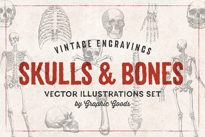 Skulls & Bones Illustrations