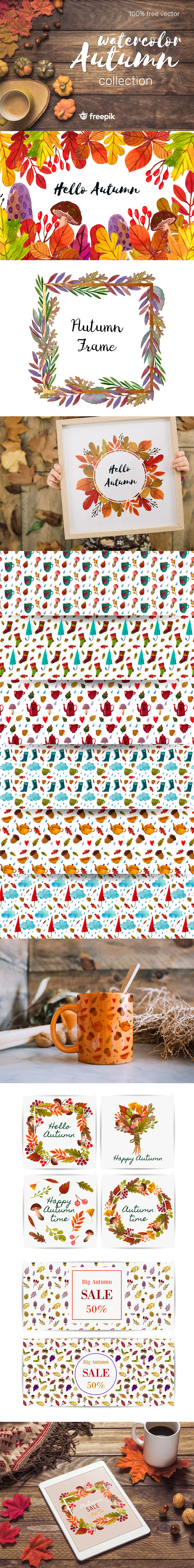 Autumn Watercolour Graphics and Patterns for Premium Members