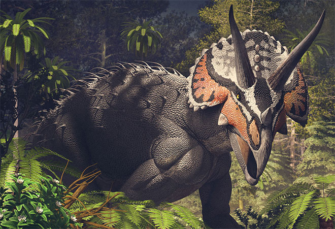 Triceratops Horridus by Roman Garcia Mora