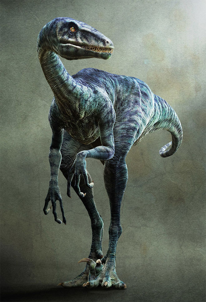 Eoraptor by Florent Masurel