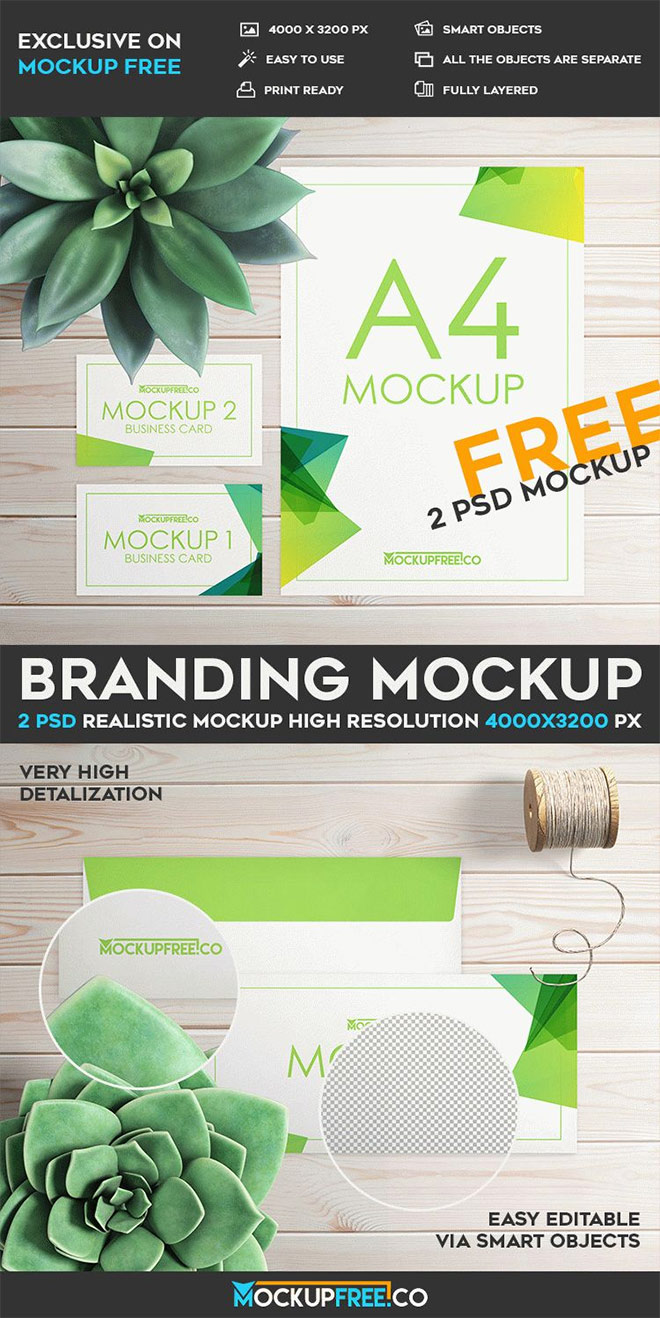 Branding Mockup