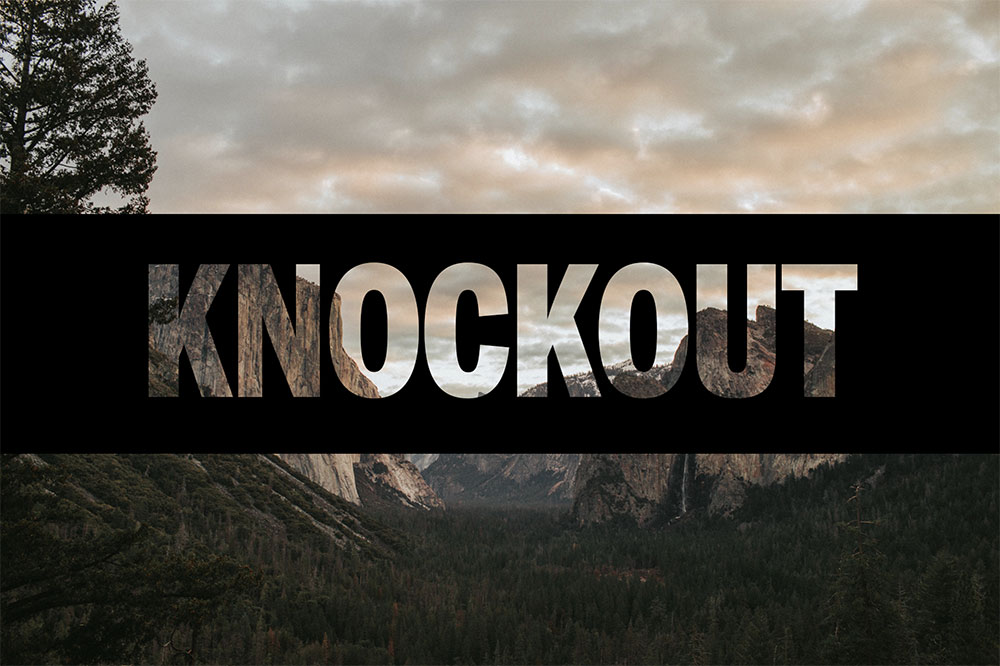 Knockout Photos, Images and Pictures