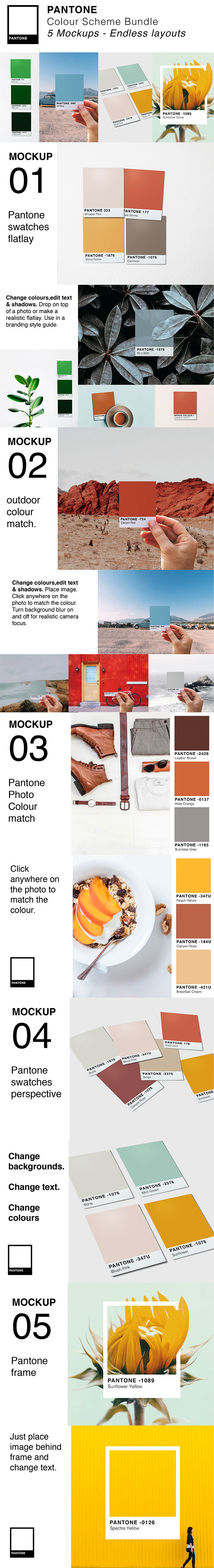 Pantone Colour Swatch Mockups for Premium Members