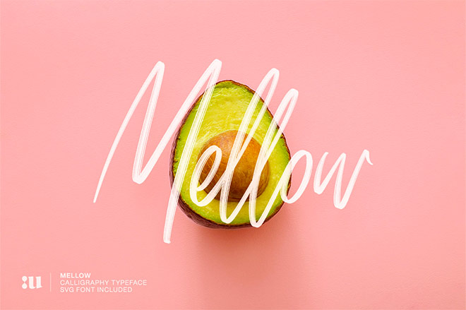 Mellow: Brush & SVG Font by Unio