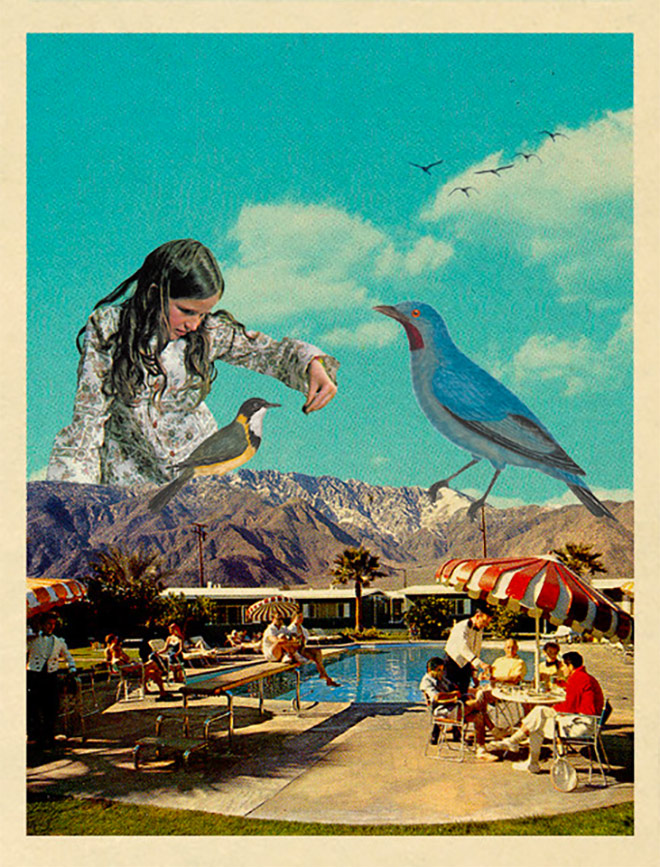Feeding the Birds by Sammy Slabbinck