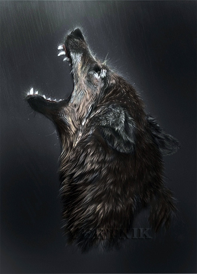 Wolf's Spirit by Vertnik